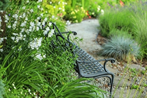Jolly Sienda Prints: Bremerton, Washington State. Garden with wildflowers