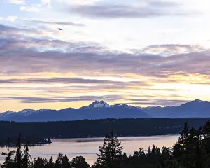 Silver Prints: Bremerton, Washington State, Olympic Mountains, Puget Sound