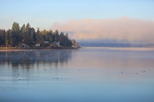 Wigeon Prints: Bremerton, Washington State, Usa. Puget Sound waterfront property