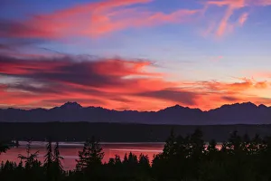 Gold Color Prints: Bremerton, Washington State, USA. Fiery sunset
