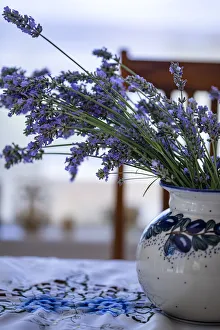Pottery Prints: Bremerton, Washington State, USA. Lavender in a vase