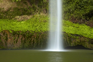 Images Dated 26th March 2015: Bridal Veil Falls, near Raglan, Waikato, North Island, New Zealand