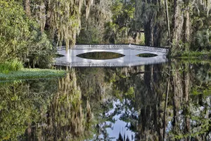 Oak Lane Prints: Bridge crossing pond Springtime azelea blooming Magnolia Plantation, Charelston South