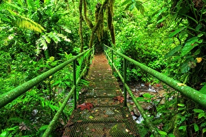 Brook Prints: Bridge over a jungle stream, Alajuela Province, Costa Rica