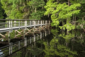 Reflections Prints: bridge with reflection over Suwanee River