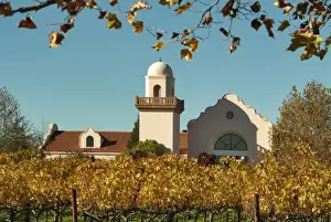 Oakville Prints: Bright reds and yellows of fall-colored leaves in front of Groth Vineyards & Winery