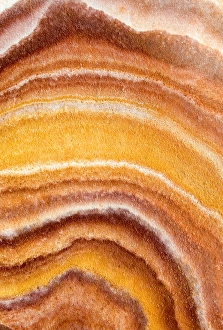 Images Dated 25th September 2005: Brilliant color in metamorphic sandstone, Bryce Canyon National Park, Utah, USA
