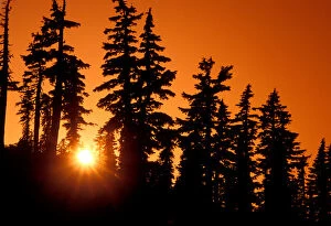 Images Dated 21st April 2005: A brilliant orange sunset in the wilderness around Mt Jefferson in Oregon Cascades