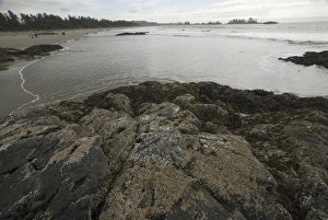Images Dated 16th September 2006: British Columbia, Canada, September 2006