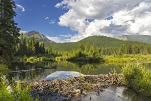 Protection Prints: British Columbia; Canada; summer; scenic; landscape; Flathead River; wild; river