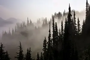 Images Dated 22nd September 2012: British Columbia, Whistler. Coming out of the clouds on Whistler Mountain