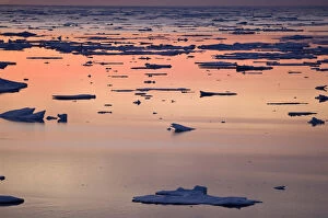 Images Dated 11th September 2007: Broken sea ice at sunset Kong Oscar Fjord East Coast of Greenland