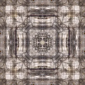 Abstract Collection: Brown and white abstract