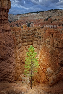 Images Dated 19th January 2024: Bryce Canyon, Bryce Canyon National Park, Utah