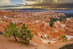 Images Dated 19th January 2024: Bryce Canyon, Bryce Canyon National Park, Utah