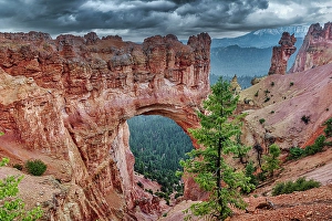 Bryce Canyon Prints: Bryce Canyon National Park