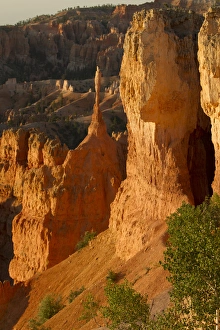 Bryce Canyon National Park, Utah. Spire Hoodoos and bulbous Hoodoos wall line