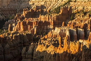 Images Dated 25th June 2016: Bryce Canyon National Park, Utah. Golden sunlit wall of Hoodoos