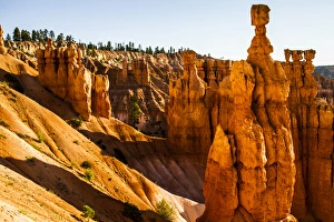 Images Dated 25th June 2016: Bryce Canyon National Park, Utah. Line of Hoodoos stand on the canyon slope in shadows