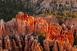Amphitheatre Prints: Bryce Canyon National Park Utah, USA
