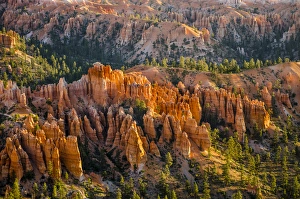 Utah Prints: Bryce Canyon National Park Utah, USA