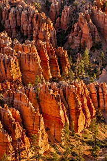 Utah Prints: Bryce Canyon National Park Utah, USA