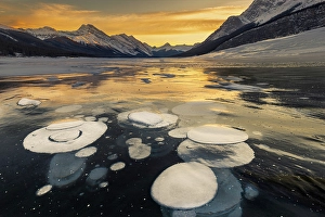 John Ford Prints: Bubbles, Spray Lake, Canadian Rockies