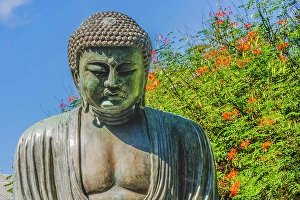 Images Dated 24th January 2024: Buddha statue, Daibutsu replica
