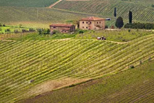 Tractor Prints: A building on a hill surrounded by vineyards in the countryside betweem Greve