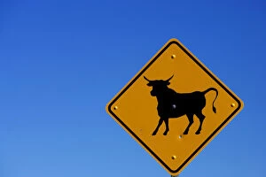 A bull sign on the California Nevada border with a a clear blue sky background