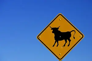 Roadway Prints: A bull sign on the California Nevada border with a a clear blue sky background