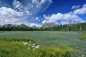 Images Dated 14th May 2010: Buller Pond with mount Assiniboine in background in the Kananaskis Country of Alberta