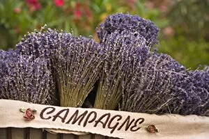 Images Dated 4th July 2007: Bunches of lavender for sale, Vence, Provence, France