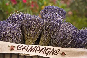 Images Dated 4th July 2007: Bunches of lavender for sale, Vence, Provence, France