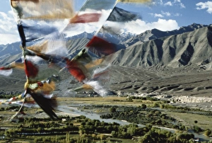 Images Dated 10th June 2014: Bunting flying in sky with mountain in background