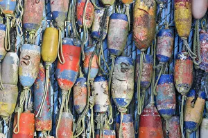 Rope Prints: Buoy displayed, Charleston Marina, Oregon