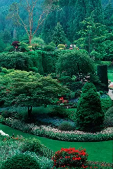 Images Dated 28th December 2006: Butchart Gardens, British Columbia, Canada