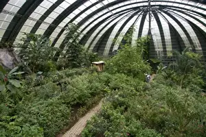 Costa Rican Prints: Butterfly gardens in the Selvatura Adventure Park located in the Cloud Forest of Monteverde