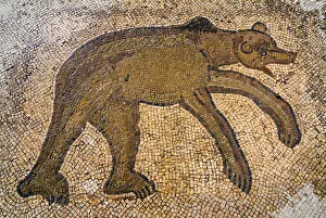 Images Dated 22nd June 2010: Byzantine bear mosaic, the Theater, Roman ruins of Bulla Regia, Tunisia, North Africa