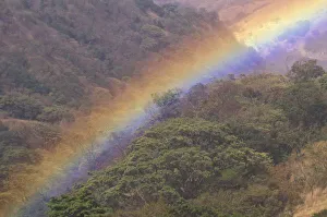 Images Dated 14th April 2004: CA, Costa Rica