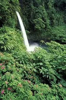 Images Dated 13th April 2004: CA, Costa Rica. La Paz waterfall and impatients