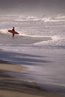 Active Prints: CA, Costa Rica, Nicoya Peninsula Surfer on Playa Santa Teresa