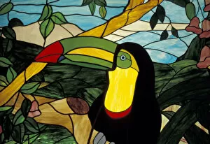 CA, Costa Rica Toucan in stained glass