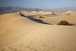 Mesquite Flats Prints: CA, Death Valley NP, Mesquite Flat Sand Dunes