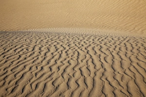 Images Dated 14th April 2011: CA, Death Valley NP, Mesquite Flat Sand Dunes