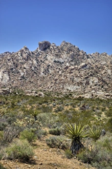 National Preserve Prints: CA, Mojave National Preserve, Granite Mountains