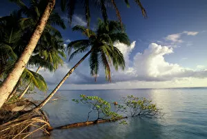 CA, Panama, Caribbean Sea, Bocas Del Toro Island