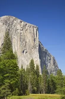 Images Dated 4th June 2006: CA, Yosemite NP, El Capitan