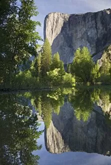 Images Dated 3rd June 2006: CA, Yosemite NP, El Capitan reflected in Merced River