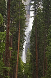 Images Dated 7th June 2006: CA, Yosemite NP, Upper and Lower Yosemite Falls
